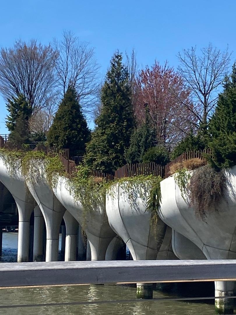Nature finds a way, parks and flowers thriving amid the urban landscape.